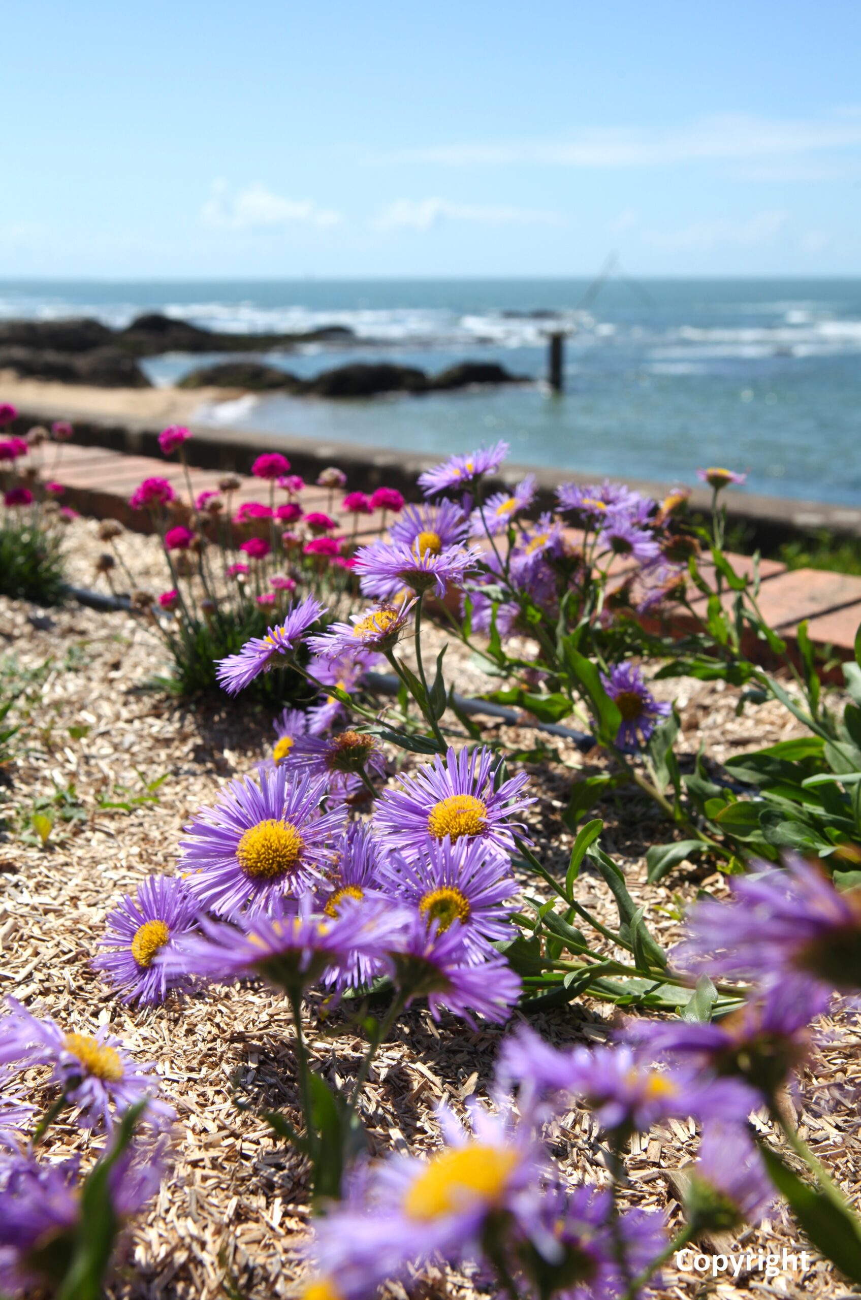 Quartier Pornichet Atlantique